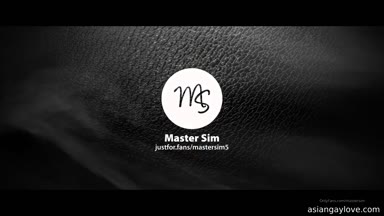 @mastersim
