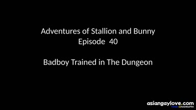 @stallion_bunny