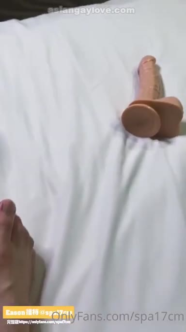@spa17dog