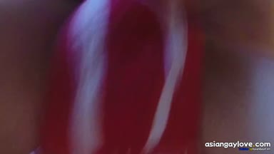 @austinwolfff