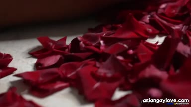 @carloseffort1