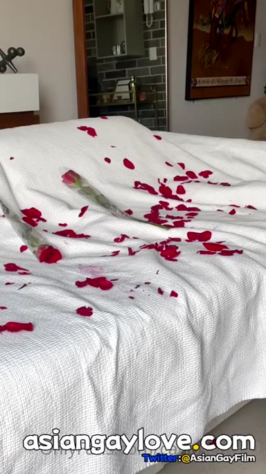 @carloseffort1