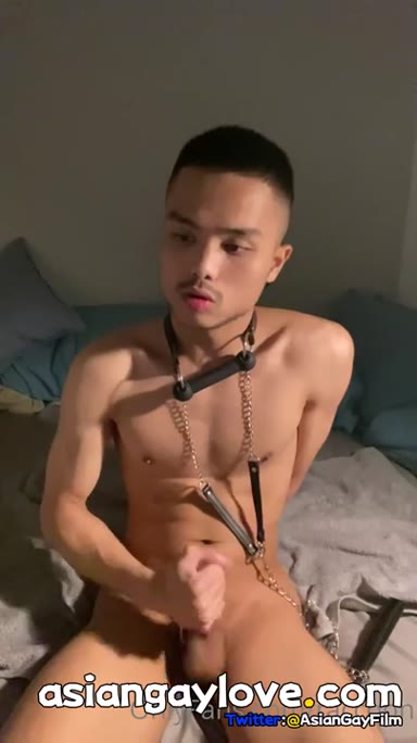 @Raccoon1069