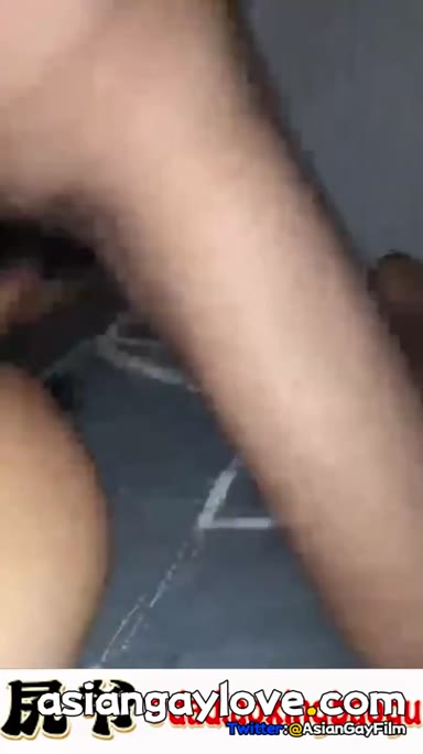 dadiaoxingbaogu