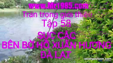 Traixubienpt