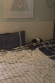 Two Young Muscular Men in an Intimate Bedroom Scene